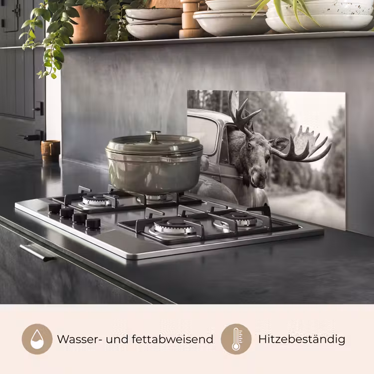 Eland - Auto - Gewei - Zwart - Wit keuken achterwand spatscherm klein -usp_DE