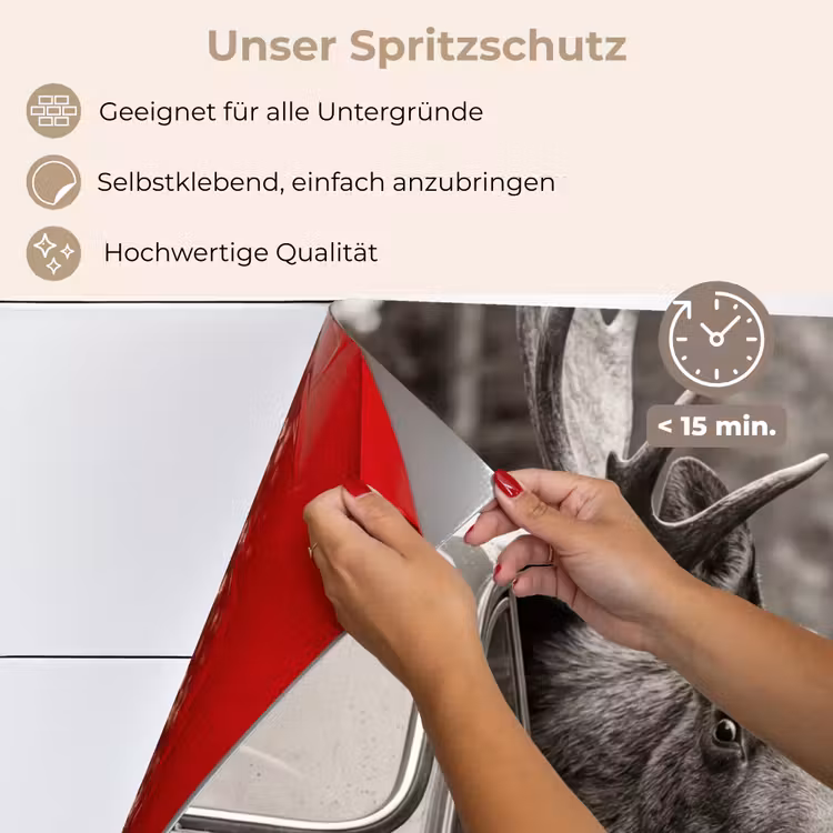 Eland - Auto - Gewei - Zwart - Wit keuken achterwand spatscherm klein -spatscherm_DE