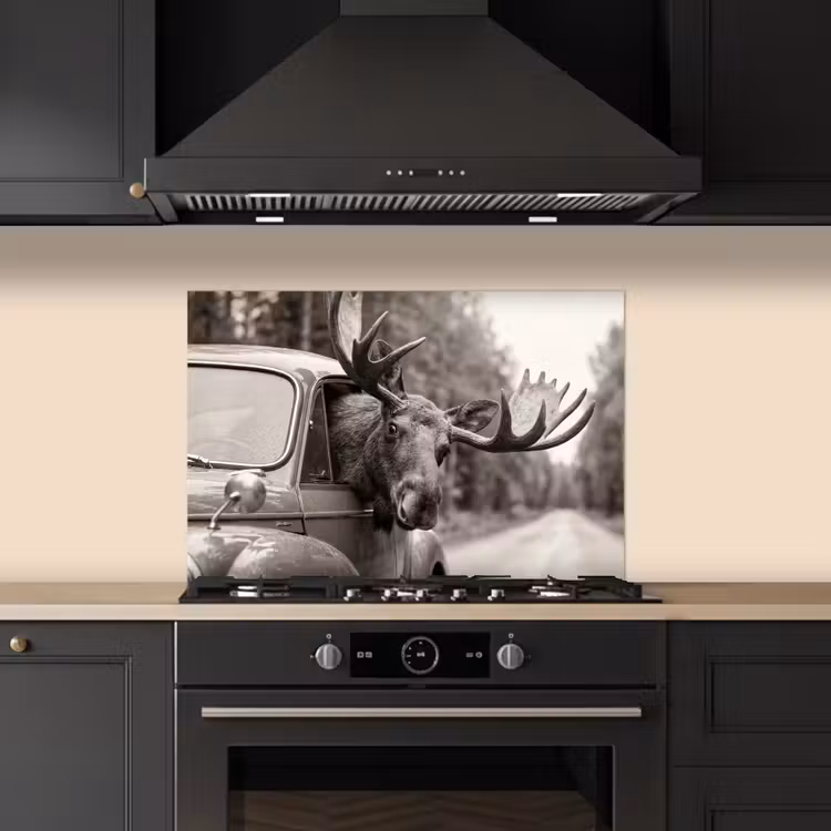 Eland - Auto - Gewei - Zwart - Wit keuken achterwand spatscherm klein -sfeer1