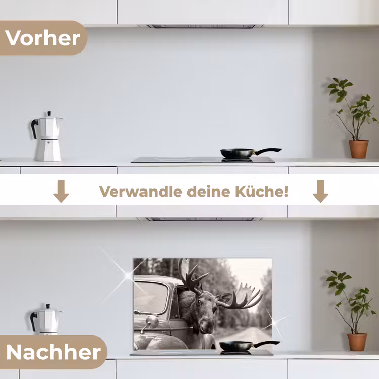 Eland - Auto - Gewei - Zwart - Wit keuken achterwand spatscherm klein -voor_na_DE