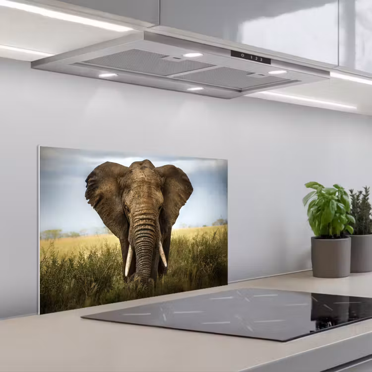 Olifant - Natuur - Gras - Dieren - Landschap keuken achterwand spatscherm klein -3d_schuin