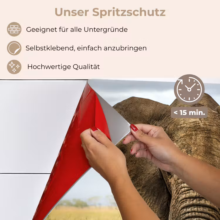 Olifant - Natuur - Gras - Dieren - Landschap keuken achterwand spatscherm klein -spatscherm_DE
