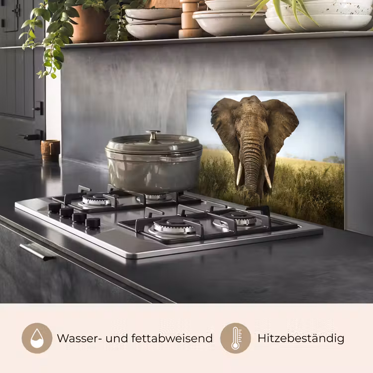 Olifant - Natuur - Gras - Dieren - Landschap keuken achterwand spatscherm klein -usp_DE