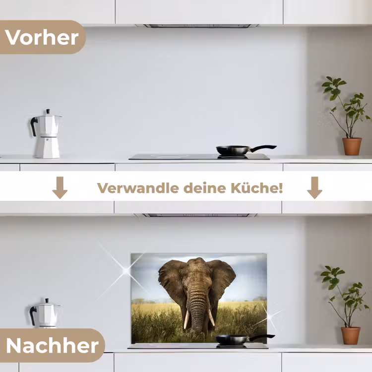 Olifant - Natuur - Gras - Dieren - Landschap keuken achterwand spatscherm klein -voor_na_DE