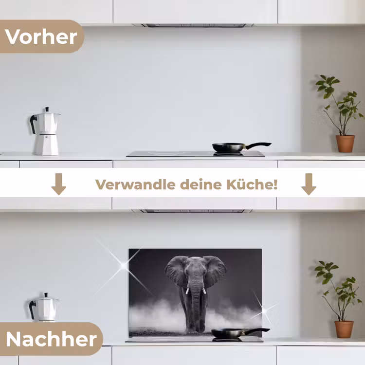 Olifant - Zwart - Wit - Rook keuken achterwand spatscherm klein -voor_na_DE