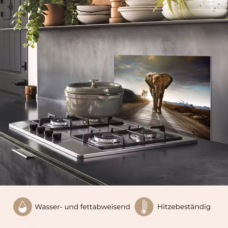 Olifant - Weg - Dieren - Zonsondergang - Landschap keuken achterwand spatscherm klein -usp_DE