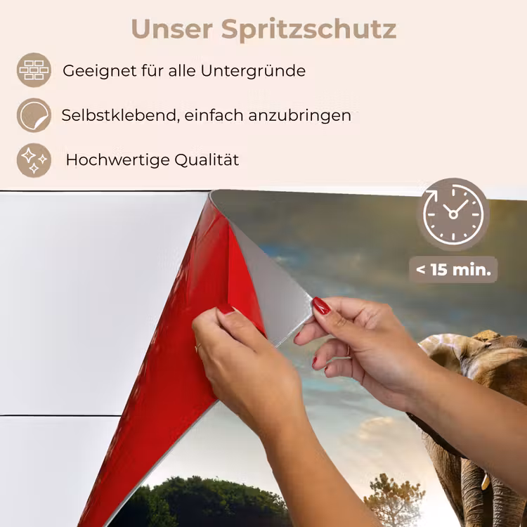 Olifant - Weg - Dieren - Zonsondergang - Landschap keuken achterwand spatscherm klein -spatscherm_DE