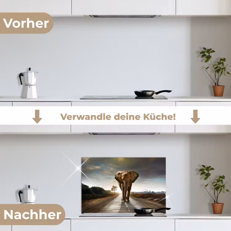 Olifant - Weg - Dieren - Zonsondergang - Landschap keuken achterwand spatscherm klein -voor_na_DE