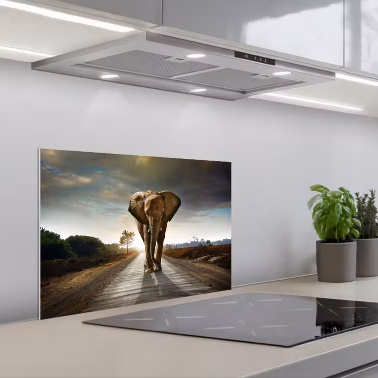 Olifant - Weg - Dieren - Zonsondergang - Landschap keuken achterwand spatscherm klein -3d_schuin