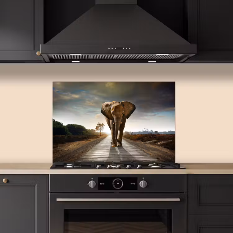 Olifant - Weg - Dieren - Zonsondergang - Landschap keuken achterwand spatscherm klein -sfeer1