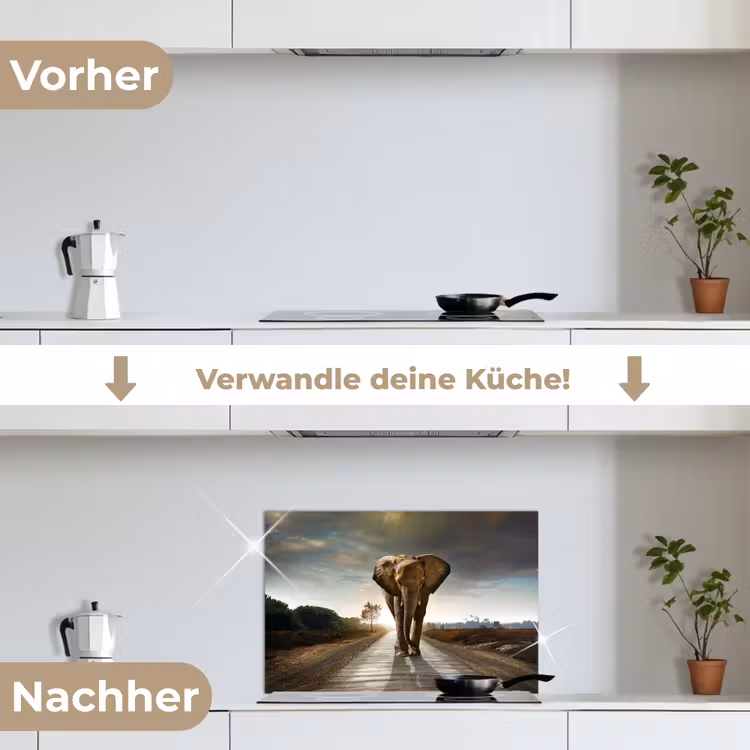 Olifant - Weg - Dieren - Zonsondergang - Landschap keuken achterwand spatscherm klein -voor_na_DE