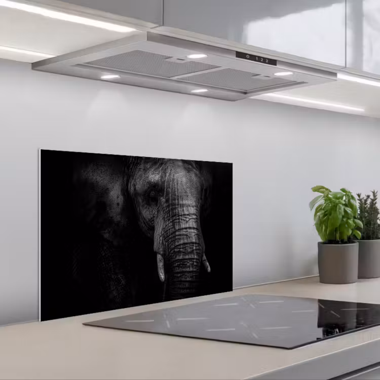 Olifant - Dier - Portret keuken achterwand spatscherm klein -3d_schuin