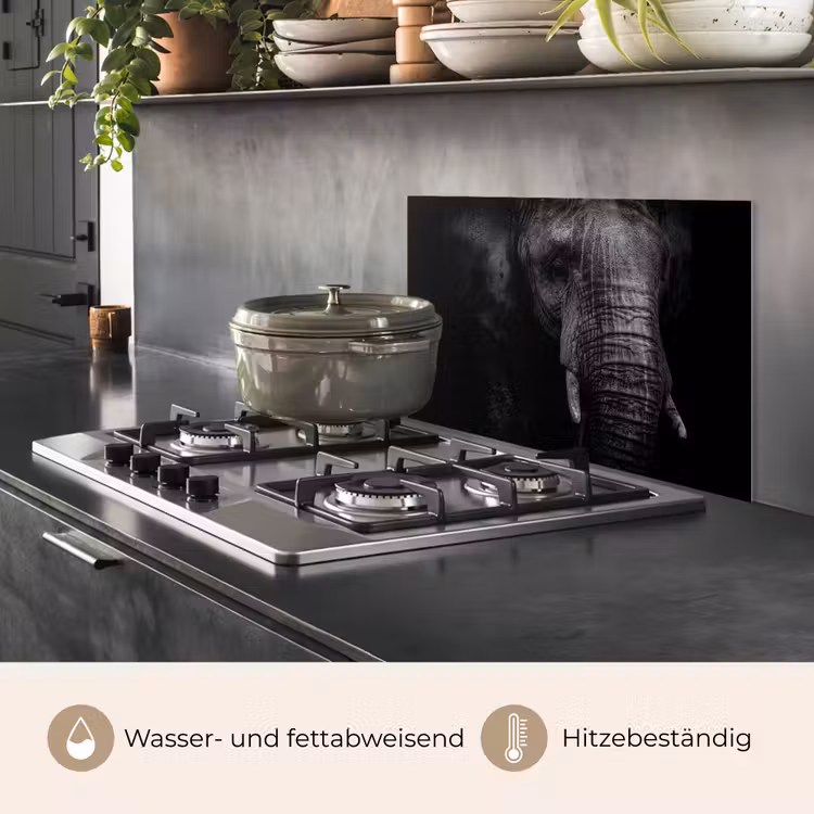 Olifant - Dier - Portret keuken achterwand spatscherm klein -usp_DE