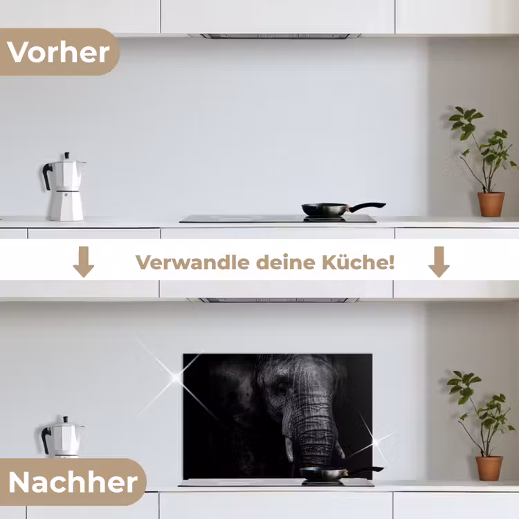 Olifant - Dier - Portret keuken achterwand spatscherm klein -voor_na_DE