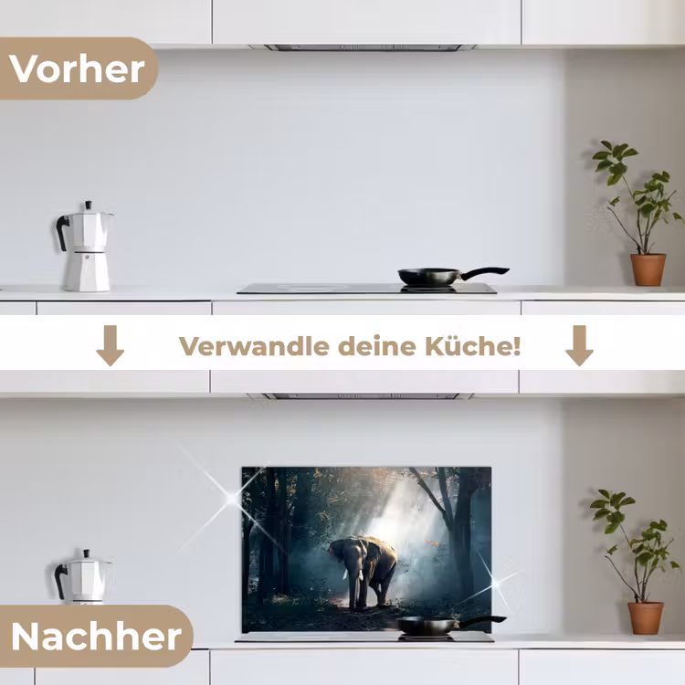Olifant - Dieren - Licht - Bos - Natuur - Wilde dieren keuken achterwand spatscherm klein -voor_na_DE