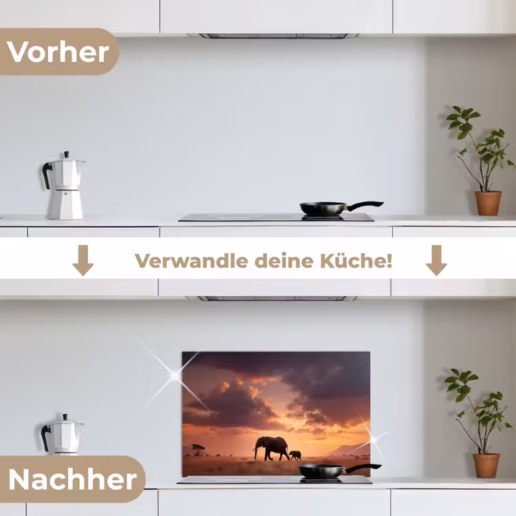 Olifanten - Grasland - Zonsondergang keuken achterwand spatscherm klein -voor_na_DE
