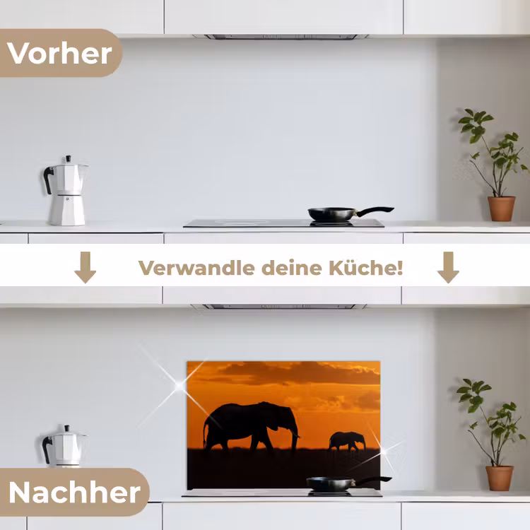 Olifanten - Savanne - Zonsondergang keuken achterwand spatscherm klein -voor_na_DE