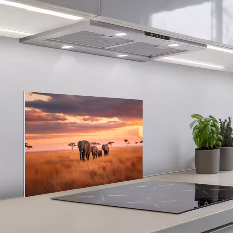Groep olifanten - Open vlakte - Zon keuken achterwand spatscherm klein -3d_schuin
