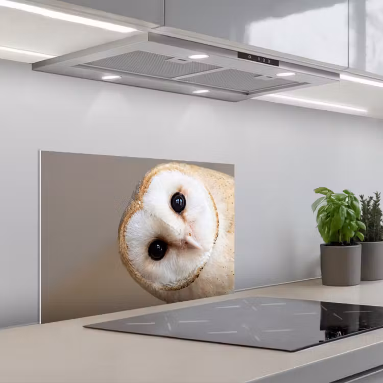 Uil - Bruin - Wit keuken achterwand spatscherm klein -3d_schuin