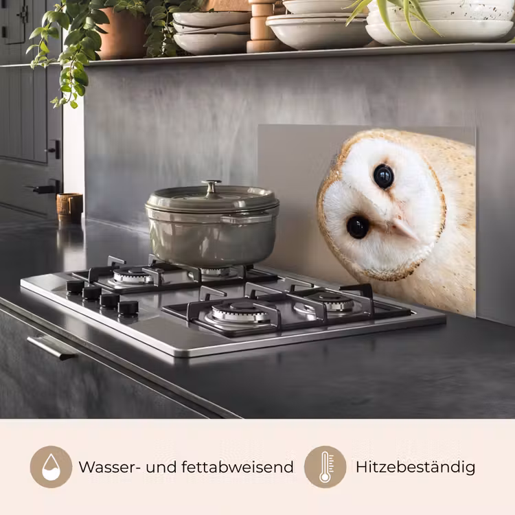 Uil - Bruin - Wit keuken achterwand spatscherm klein -usp_DE