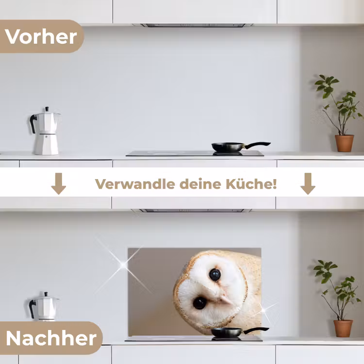 Uil - Bruin - Wit keuken achterwand spatscherm klein -voor_na_DE