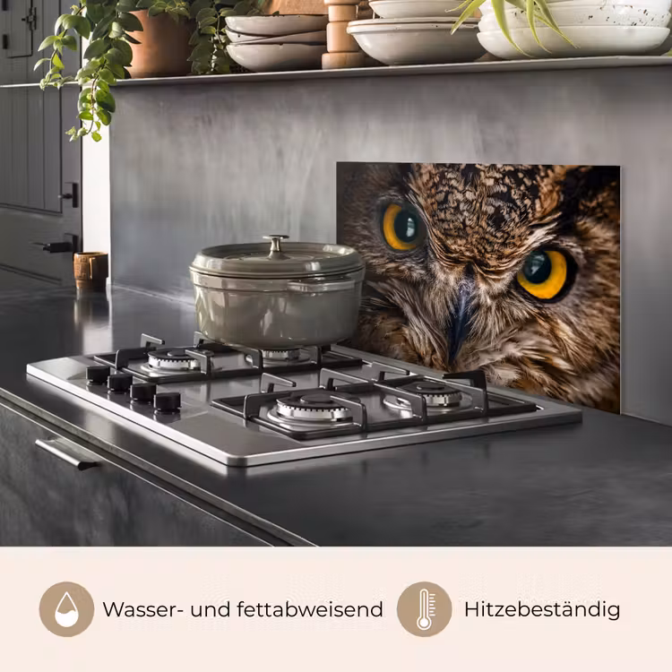 Uil - Dier - Oranje keuken achterwand spatscherm klein -usp_DE