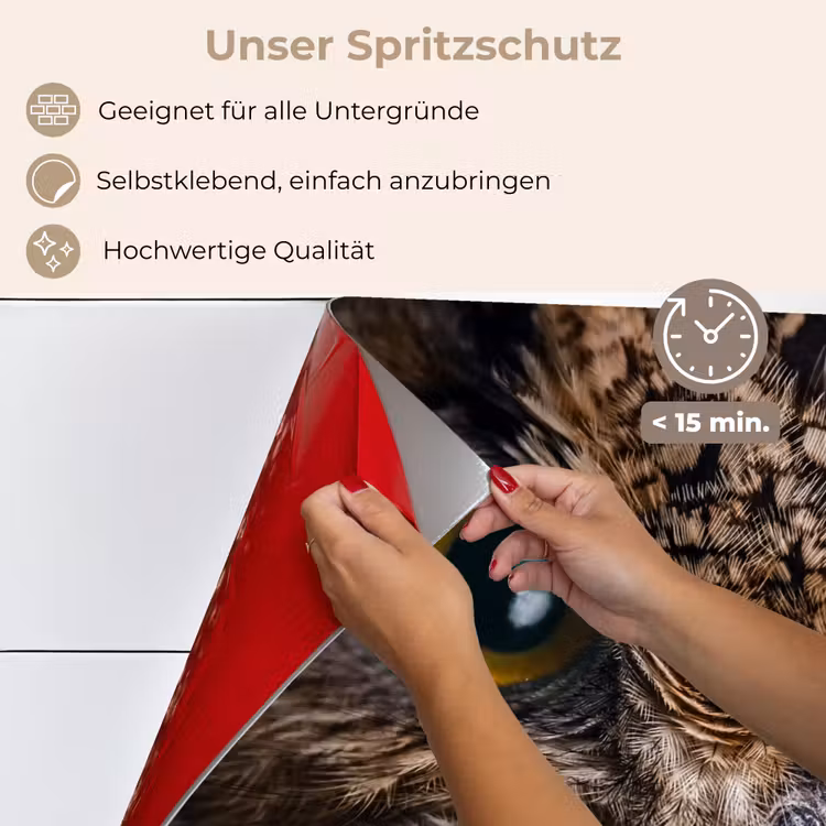 Uil - Dier - Oranje keuken achterwand spatscherm klein -spatscherm_DE