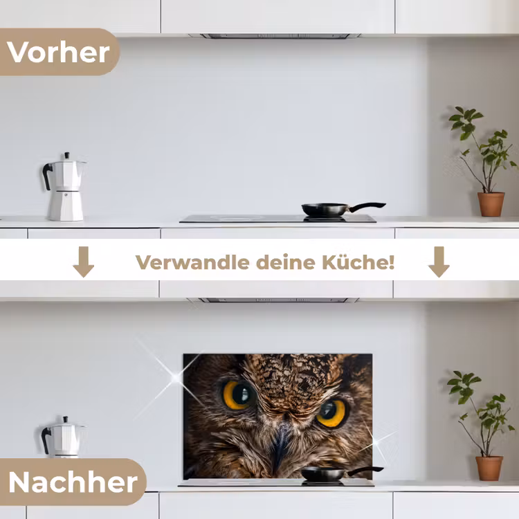 Uil - Dier - Oranje keuken achterwand spatscherm klein -voor_na_DE
