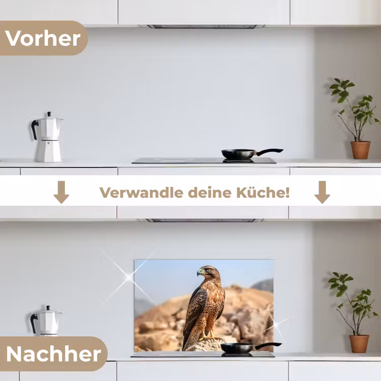 Valk - Vogel - Rots - Macht keuken achterwand spatscherm klein -voor_na_DE