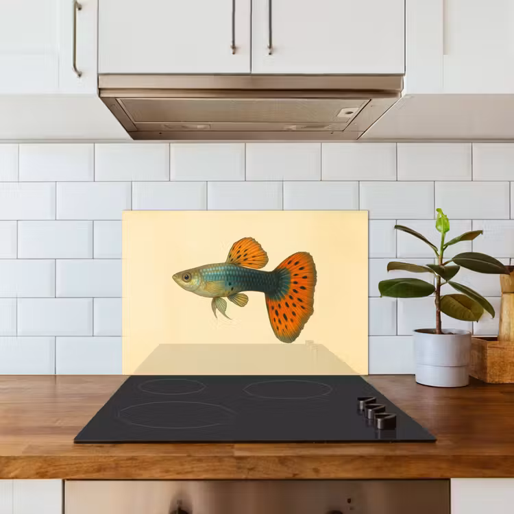 Vis - illustratie - Stippen - Oranje keuken achterwand spatscherm klein -sfeer2