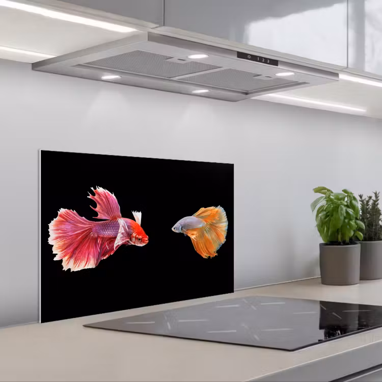 Vissen - Kleurrijk - Dieren keuken achterwand spatscherm klein -3d_schuin