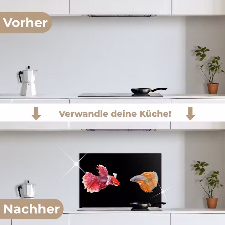 Vissen - Kleurrijk - Dieren keuken achterwand spatscherm klein -voor_na_DE