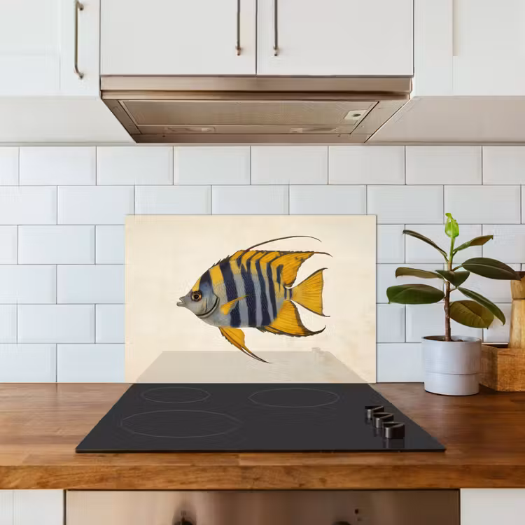 Vis - Sierlijk - Vinnen - Illustratie keuken achterwand spatscherm klein -sfeer2