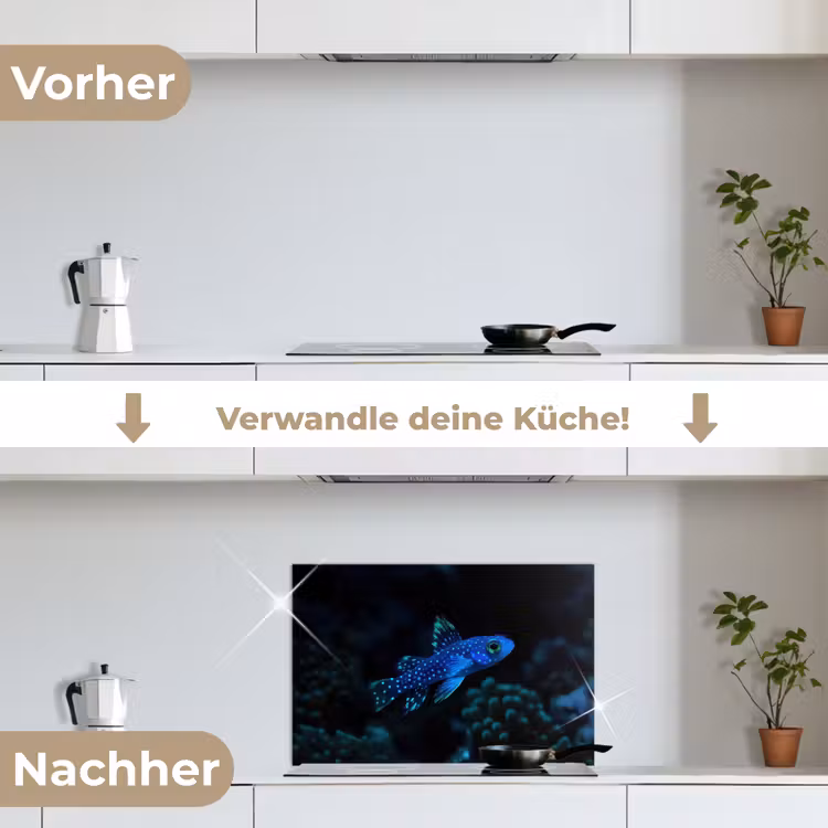 Vis - Stippen - Koraal - Blauw keuken achterwand spatscherm klein -voor_na_DE