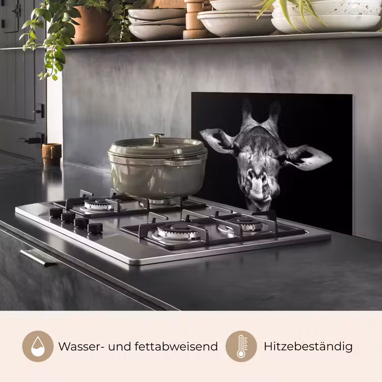 Giraffe - Portret - Dieren - Zwart - Wit keuken achterwand spatscherm klein -usp_DE