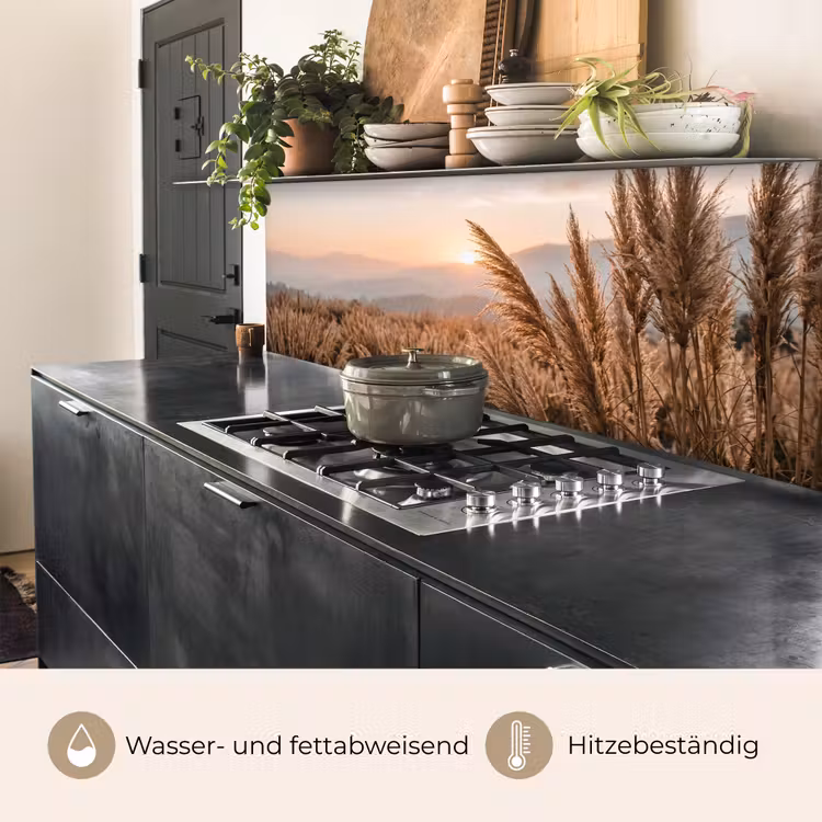 Gras - Veld - Zon - Natuur keuken achterwand 2 middel -usp_DE