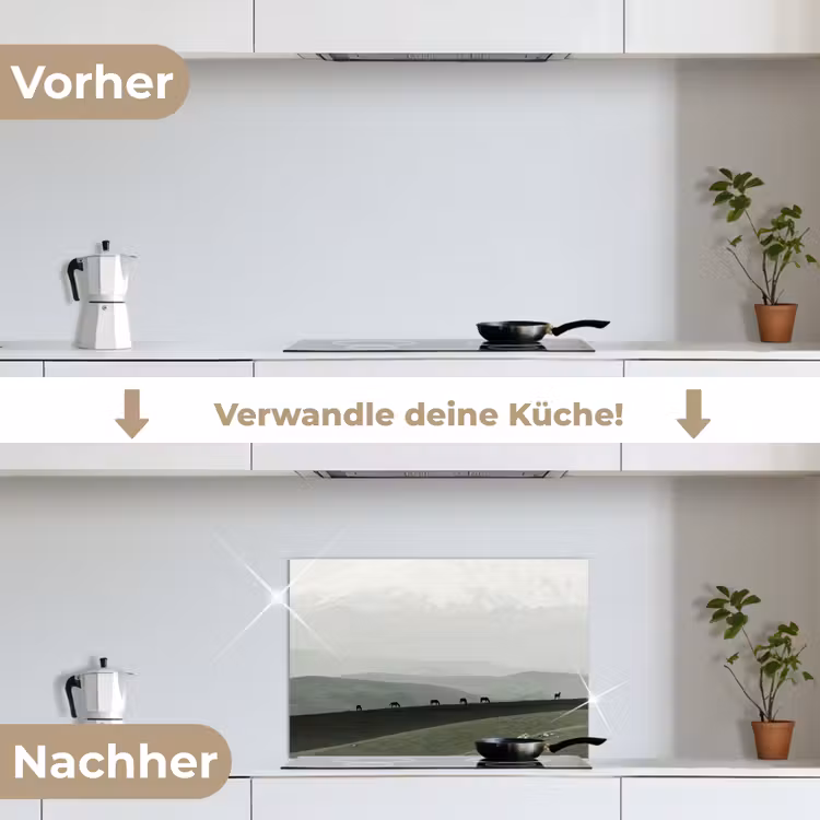Grijs - Berg - Paarden keuken achterwand spatscherm klein -voor_na_DE