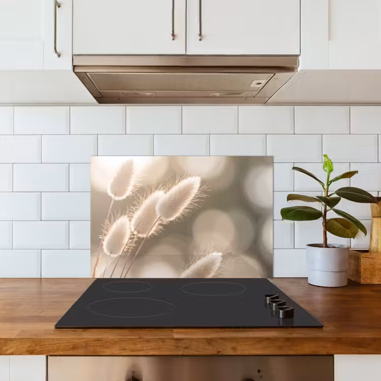 Hazestaartgras - Wit - Zonlicht keuken achterwand spatscherm klein -sfeer2