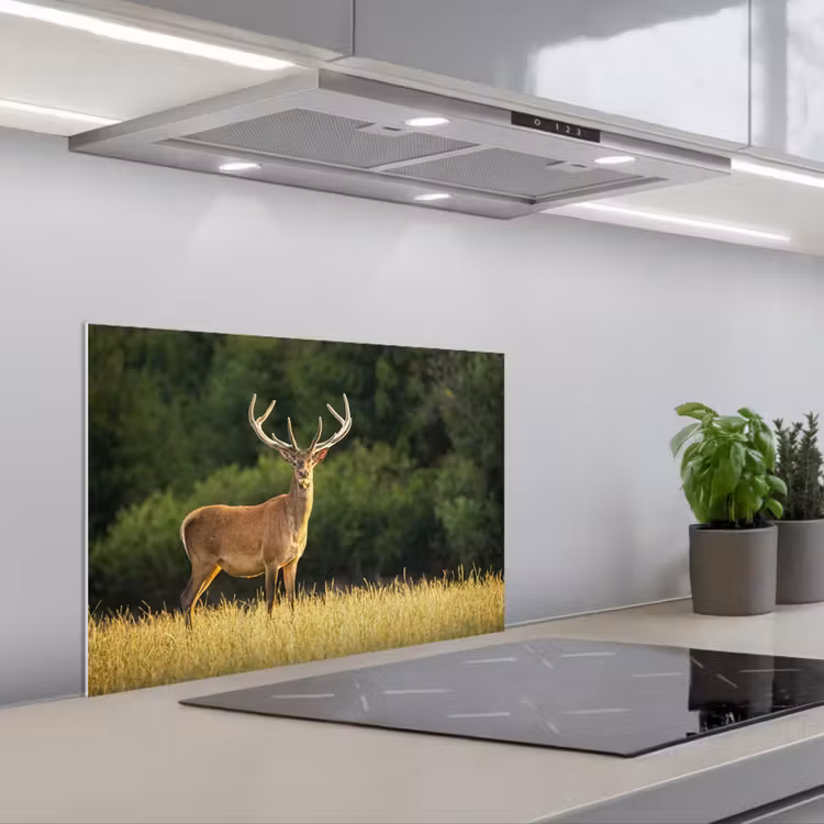 Hert - Gewei - Gras - Natuur - Dieren - Groen keuken achterwand spatscherm klein -3d_schuin