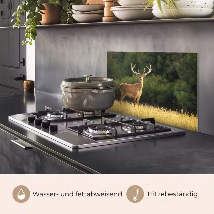 Hert - Gewei - Gras - Natuur - Dieren - Groen keuken achterwand spatscherm klein -usp_DE