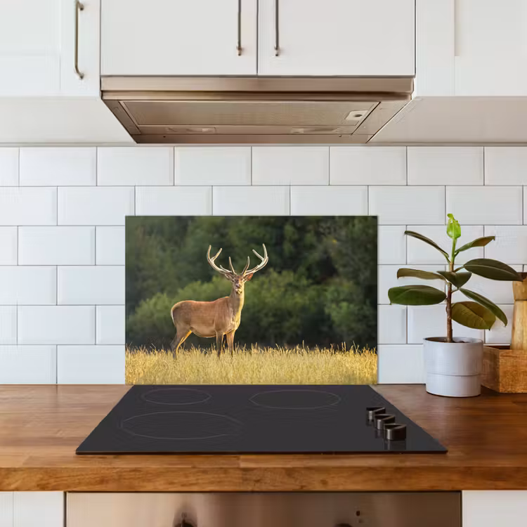 Hert - Gewei - Gras - Natuur - Dieren - Groen keuken achterwand spatscherm klein -sfeer2