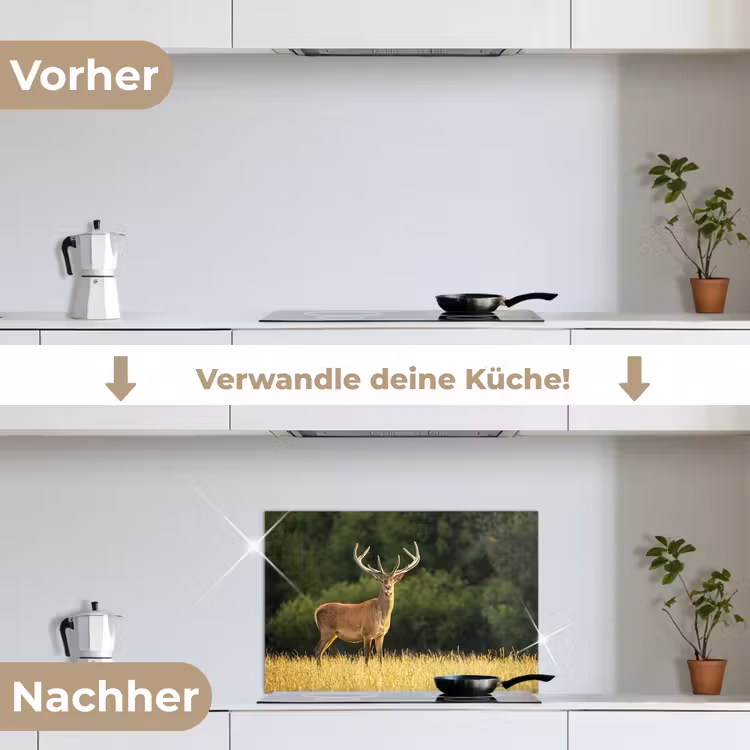 Hert - Gewei - Gras - Natuur - Dieren - Groen keuken achterwand spatscherm klein -voor_na_DE