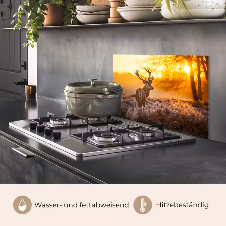 Hert - Dieren - Zonsondergang - Winter - Heide - Natuur keuken achterwand spatscherm klein -usp_DE