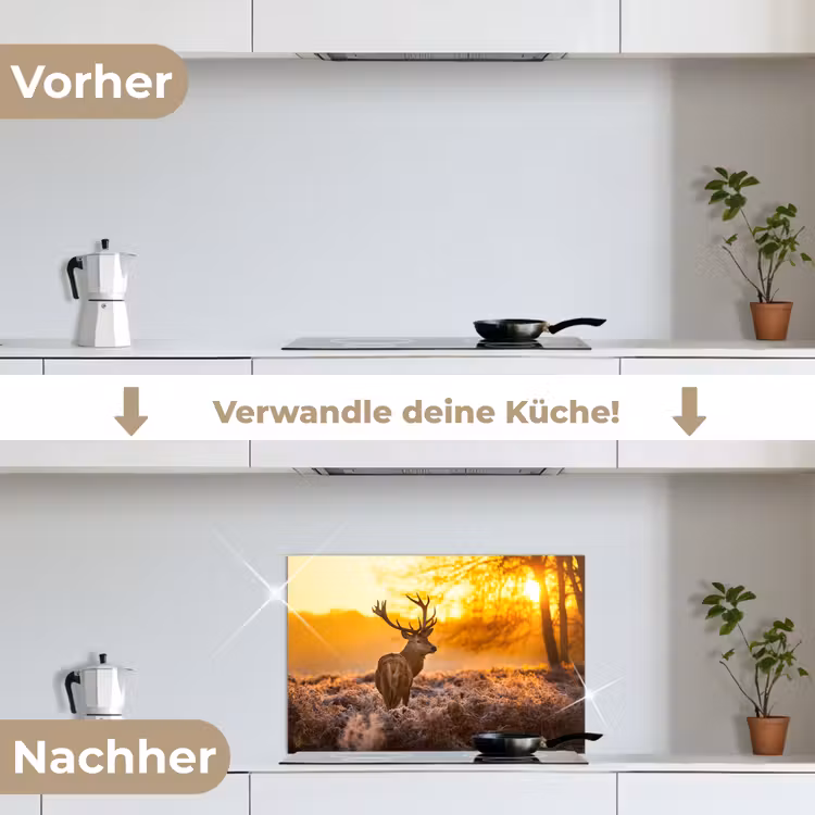 Hert - Dieren - Zonsondergang - Winter - Heide - Natuur keuken achterwand spatscherm klein -voor_na_DE