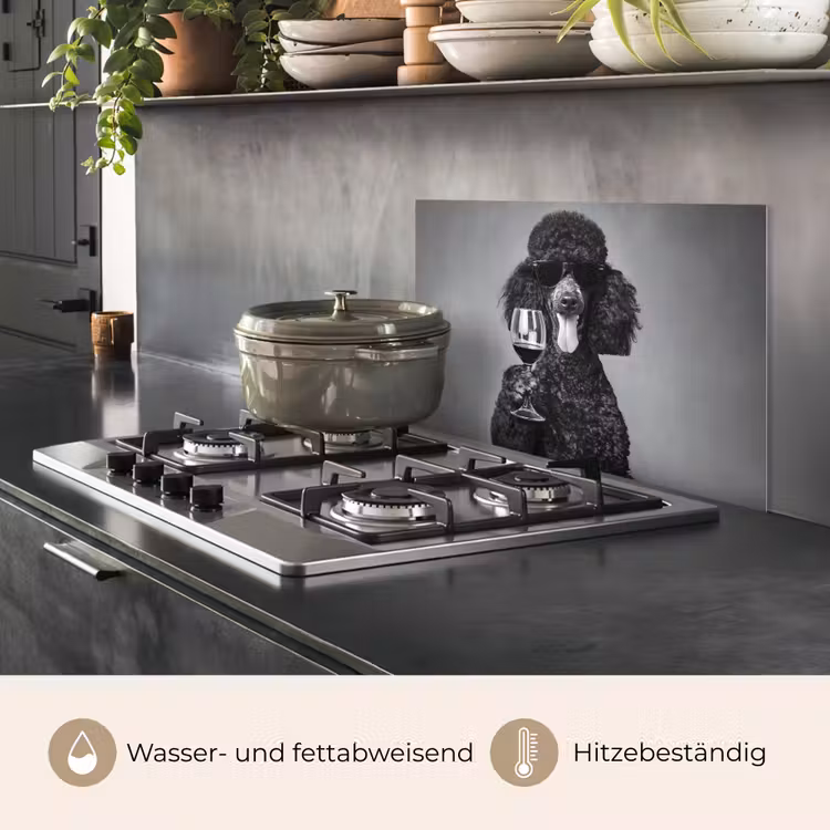 Hond - Krullen - Zonnebril - Wijn keuken achterwand spatscherm klein -usp_DE