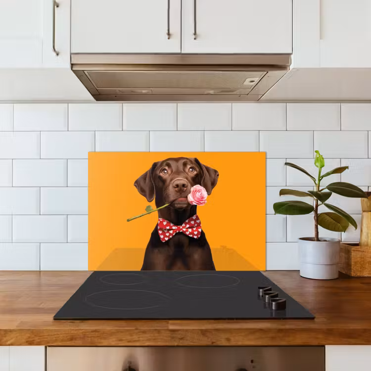 Hond - Oranje - Roos - Valentijn keuken achterwand spatscherm klein -sfeer2