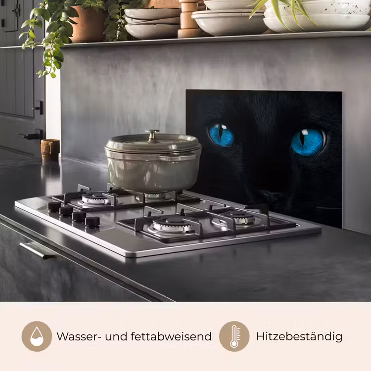Kat - Blauw - Dier - Zwart keuken achterwand spatscherm klein -usp_DE