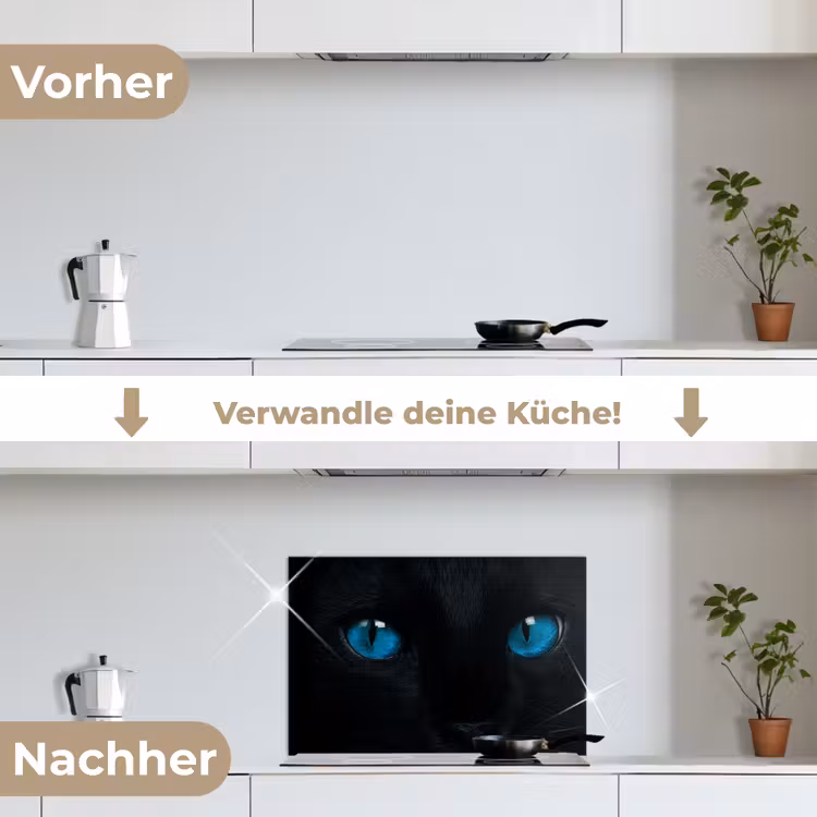 Kat - Blauw - Dier - Zwart keuken achterwand spatscherm klein -voor_na_DE