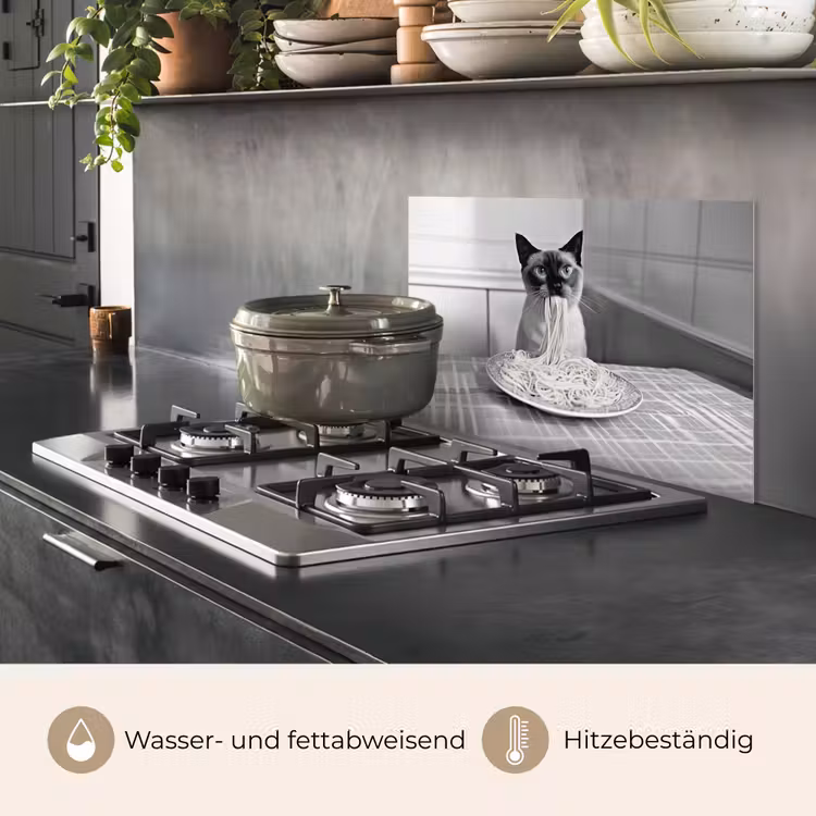 Kat - Siamees - Zwart Wit - Schattig - Dieren keuken achterwand spatscherm klein -usp_DE