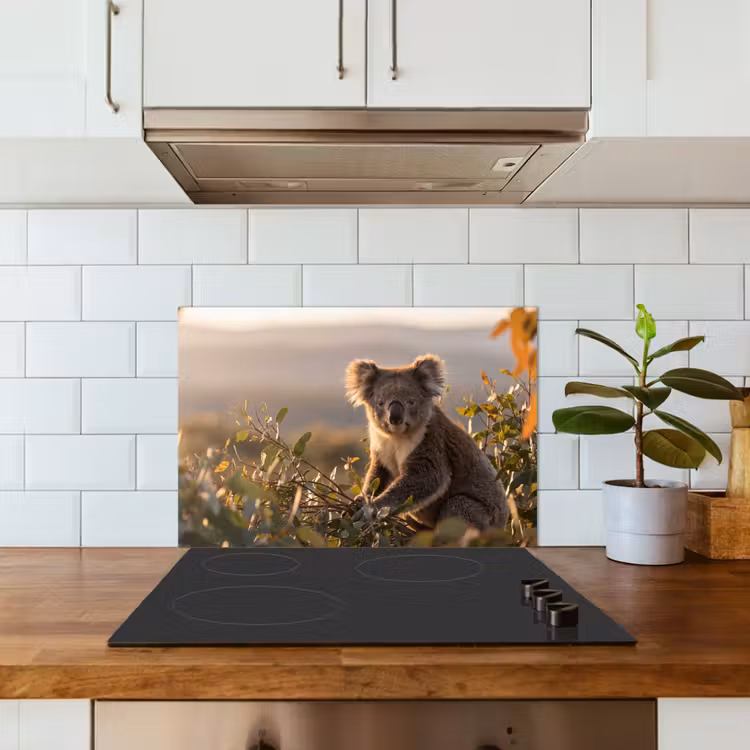 Koala - Bladeren - Ochtendlicht keuken achterwand spatscherm klein -sfeer2
